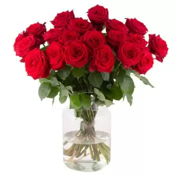 💐 Flensburg Red Phoenix II - Flower Delivery | 40 red (60 cm) | FLOWER DELIVERY FLENSBURG - FLENSBURG FLORIST