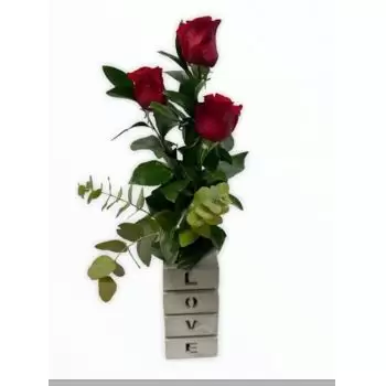 אסטפונה פרחים- אהבה נצחית פרח משלוח