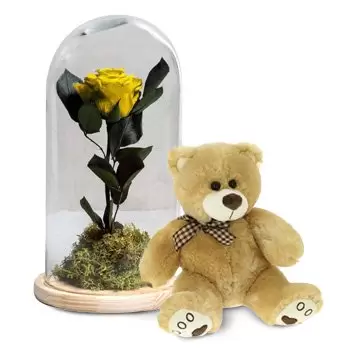 Arrigorriaga květiny- Žlutá věčná růže + medvídek Pack Květ Dodávka