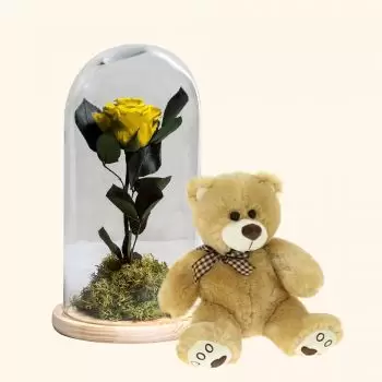 Бургос цветы- желтая вечная роза и пакет с плюшевым медведе 