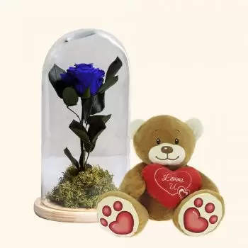 马拉加 花- 永恒的蓝玫瑰和泰迪熊心包 花 交付