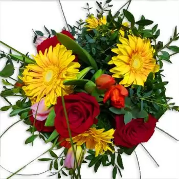 بائع زهور مايوركا- باقة حب ملونة باقة الزهور