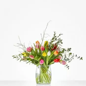 Beers blomster- Bukett blomstrende tulipan Blomst Levering