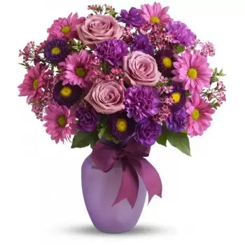 بائع زهور رأس المكانس- مدهش زهرة التسليم