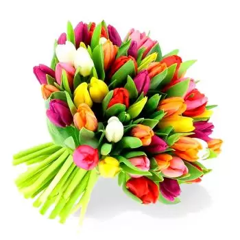 بائع زهور أرسانسكي راجون- دفقة اللون زهرة التسليم