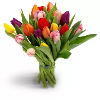 بائع زهور باهوبال- وقت الربيع زهرة التسليم