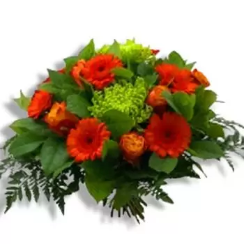 Alle Blumen Florist- Orange Blumen Lieferung