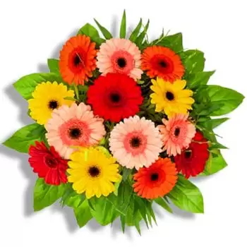 Belgia blomster- Galne farger Blomst Levering