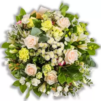 flores Bélgica floristeria -  Gallo Ramos de  con entrega a domicilio
