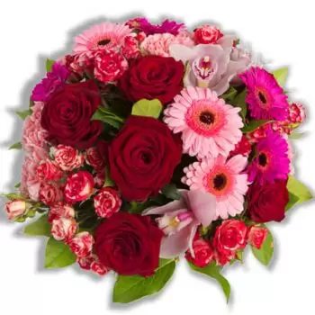 بائع زهور شارلروا- صوفي زهرة التسليم