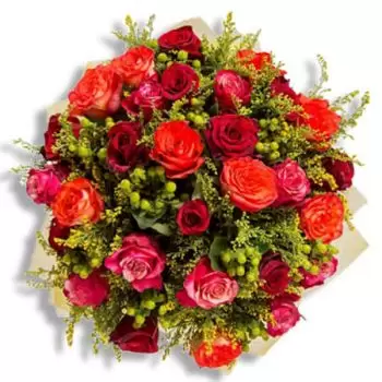 Bommershoven rože- Ostani varen Cvet Dostava