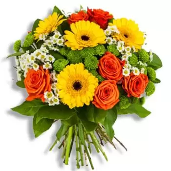 flores de Chandrapur- Horário de verão Flor Entrega