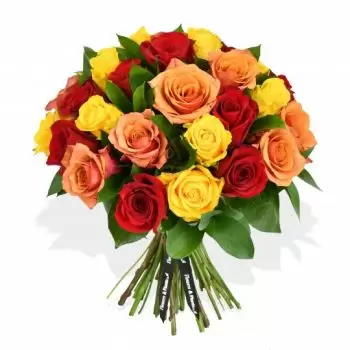 אבוטס ריפטון פרחים- נשיקת קיץ פרח משלוח
