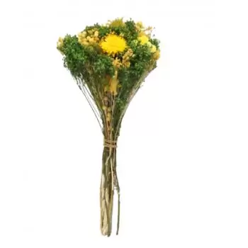 Alcantarilla kwiaty- Letni upał Kwiat Dostawy