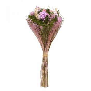 Γκάτσο λουλούδια- Άγκρα Λουλούδι Παράδοση