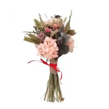 Papiol цветя- Сух розов Цвете Доставка