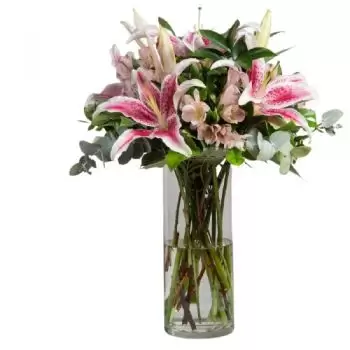 Argentona flowers  -  Marseilles Flower Delivery