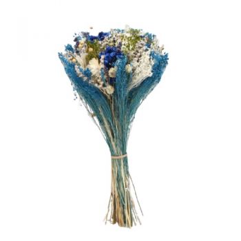 אלקואס פרחים- כחול טרי זר פרחים/סידור פרחים