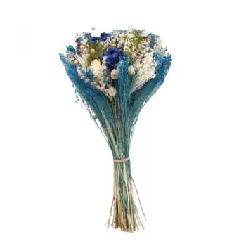 Сант Адриа дел Бесос цветя- Свежо синьо Цвете Доставка