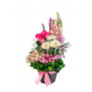 Altamira bunga- Hadiah merah muda Rangkaian bunga karangan bunga