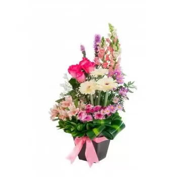 San Luis Potosí kvety- Ružový darček Kvet Doručenie