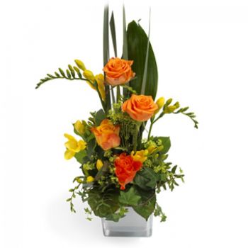 אקמברו פרחים- בברכה טרופית זר פרחים/סידור פרחים