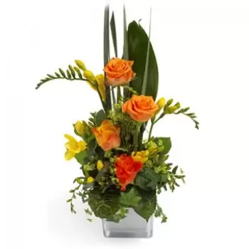Tlalnepantla de baz Blumen Florist- Tropische Grüße Blumen Lieferung
