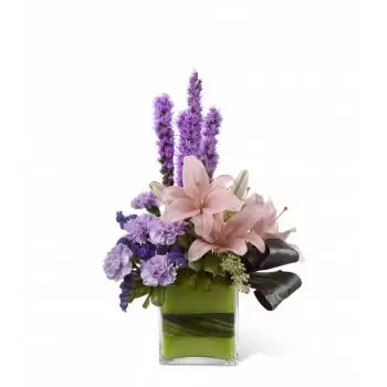 Minatitlán flowers  -  Purple temptation Flower Delivery