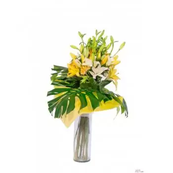 Comalcalco Blumen Florist- Sommertag Blumen Lieferung