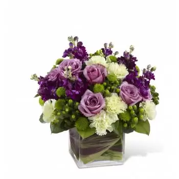 Tlalnepantla de baz Blumen Florist- Elegante Schönheit Blumen Lieferung