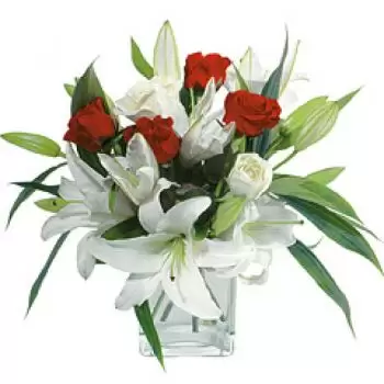 flores Mazatlan floristeria -  La bella y la Bestia Ramos de  con entrega a domicilio
