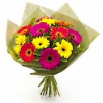 Γκουανταλαχάρα λουλούδια- Πολύχρωμο ελατήριο Λουλούδι Παράδοση