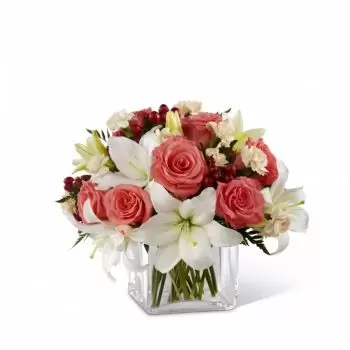 ดอกไม้ Miramar - ช่อดอกไม้เพื่อสุขภาพ ดอกไม้ จัด ส่ง