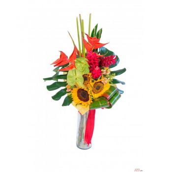 fiorista fiori di Tijuana- Notte tropicale Fiore Consegna