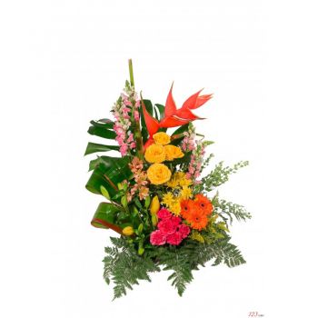بائع زهور عرندس- جزيرة في البحر الكاريبي زهرة التسليم