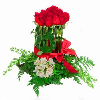 ארנדס פרחים- רומנטיקה של ורדים אדומים פרח משלוח