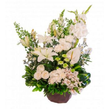 flores de Álvaro Obregón- Paraíso Bouquet/arranjo de flor