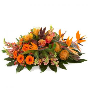 אגטקרקה חנות פרחים באינטרנט - הלוויה זר ורדים כתומים זר פרחים