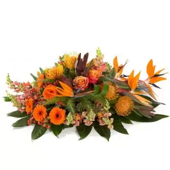 flores Holanda floristeria -  Corona Funeraria De Rosas Naranjas