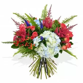 Alexandra Park blomster- Morgenhimmel Blomst Levering