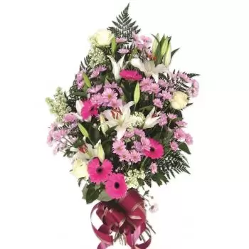 Cordoba bloemen bloemist- Roze sympathie Bloem Levering