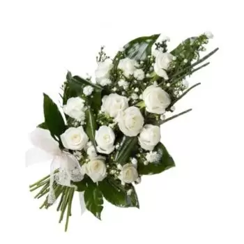 פואנגירולה (fuengirola) פרחים- יופי מלאכי פרח משלוח