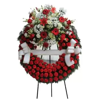 بائع زهور إشبيلية- إكليل أحمر زهرة التسليم