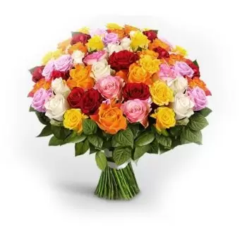 Ḥuraymila blomster- 50 blandede roser Blomst Levering