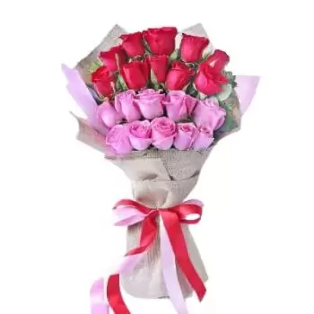 Mekka (Mekka) blomster- 20 røde og rosa roser Blomst Levering