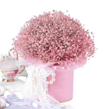 fleuriste fleurs de Saudi Arabia- Rêve nuageux Fleur Livraison