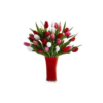 Ad Dilam Online kukkakauppias - Sekoitetut tulppaanit Kimppu