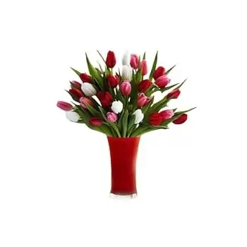 Thadiq blomster- Blandede tulipaner Blomst Levering