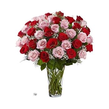 אל בוקרייה חנות פרחים באינטרנט - 50 ורדים מעורבים זר פרחים