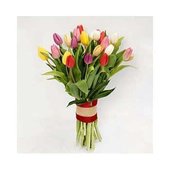 Jeddah квіти- Приголомшливі тюльпани Квітка Доставка